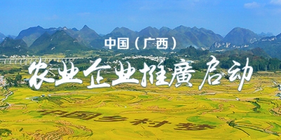 enterpriseBanner.jpg