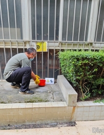 南宁市农业科学研究所积极开展除“四害”行动， 守护科研环境与成果